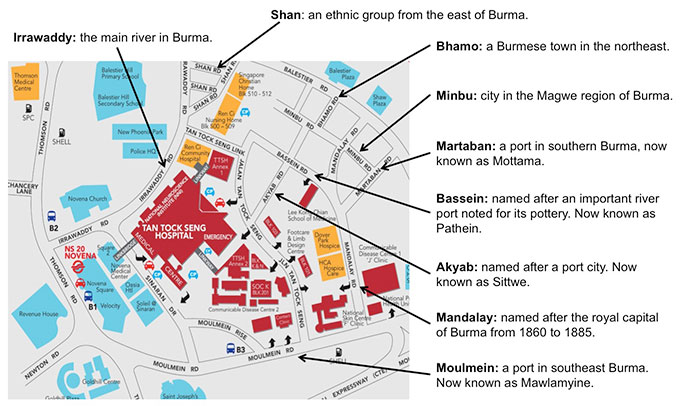 The-Burmese-Connections.jpg