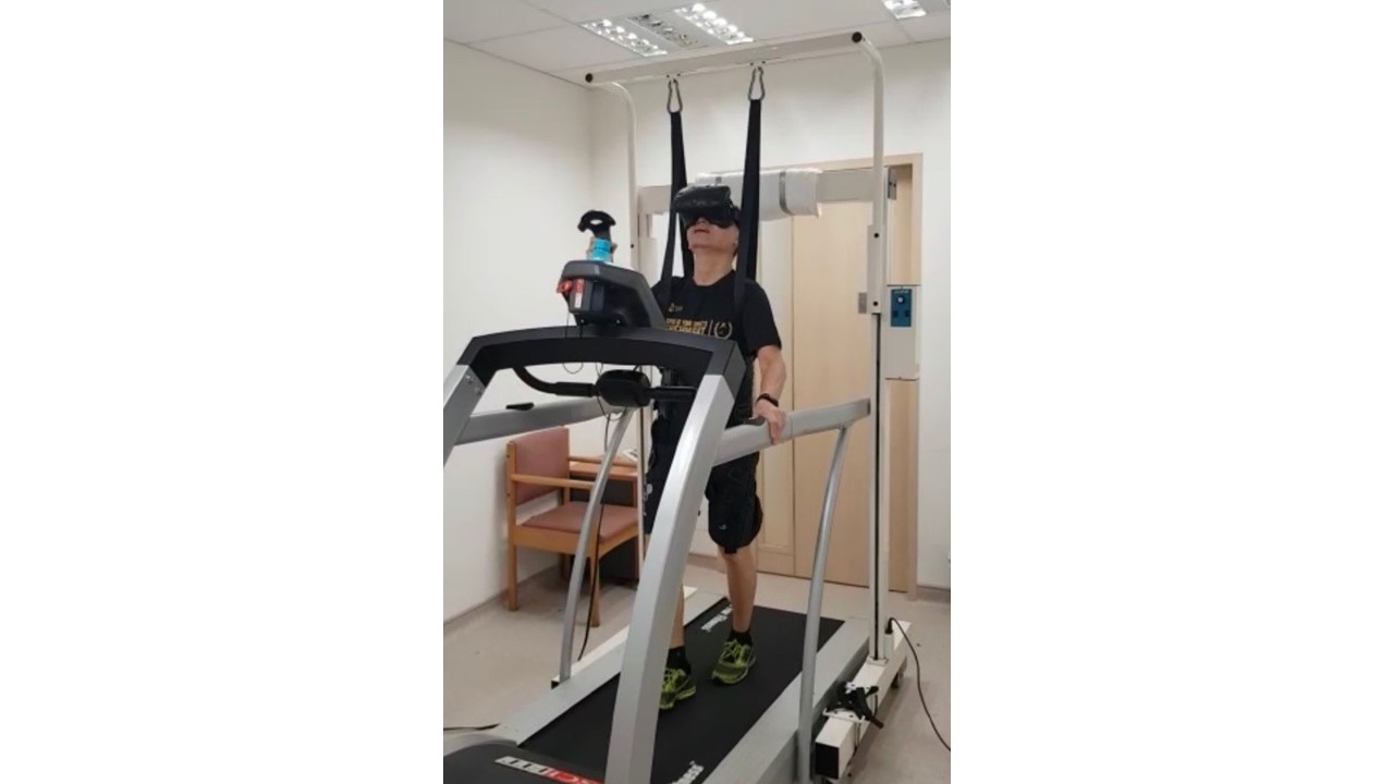 Development of an Immersive Dual Task Training and Assessment Platform for Older Adults