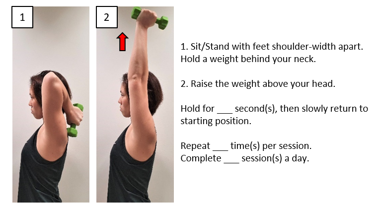 Elbow Extension - Hand Behind Head (Weights).png