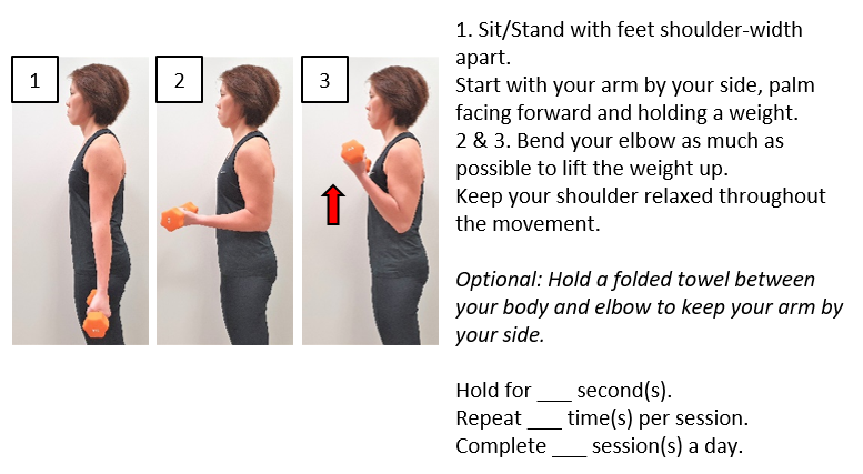Elbow Flexion - Bicep Curls (Weights).png
