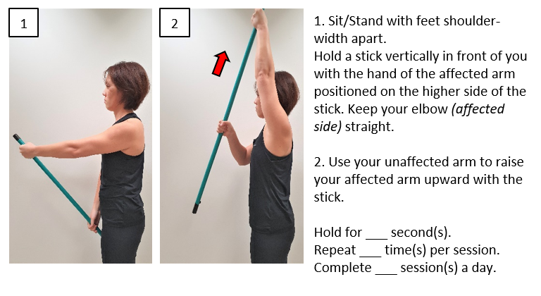 Shoulder Flexion (Sitting; Standing) (Stick) [1Q].png