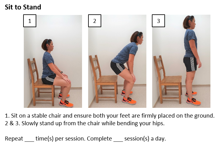Simple Morning Exercises Sit-to-Stands Sit-to-Stands