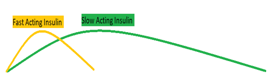 faq on insulin.png