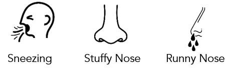 Allergic Rhinitis 1.png