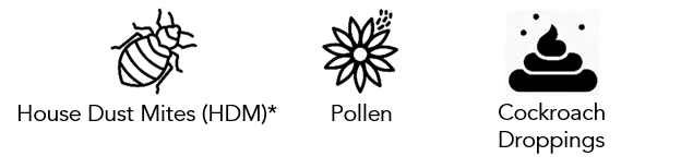 Allergic Rhinitis 2.png