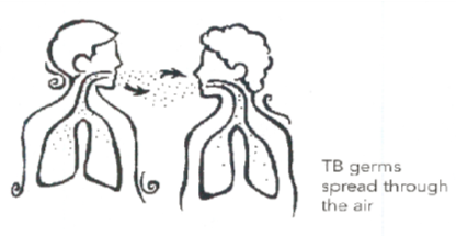 Information for the Active TB Patient Protect Your Family and Friends 2.png
